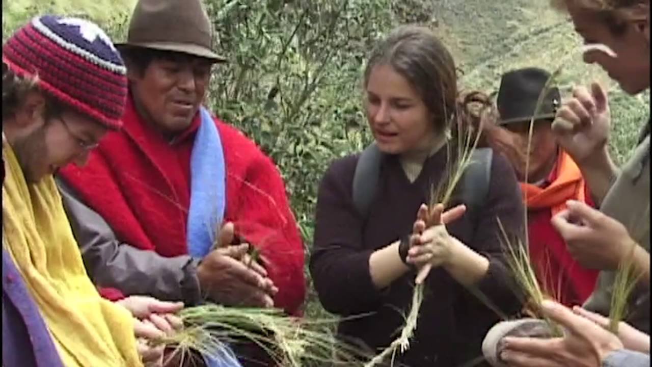 cargando...