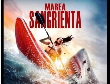 Cargando imagen...