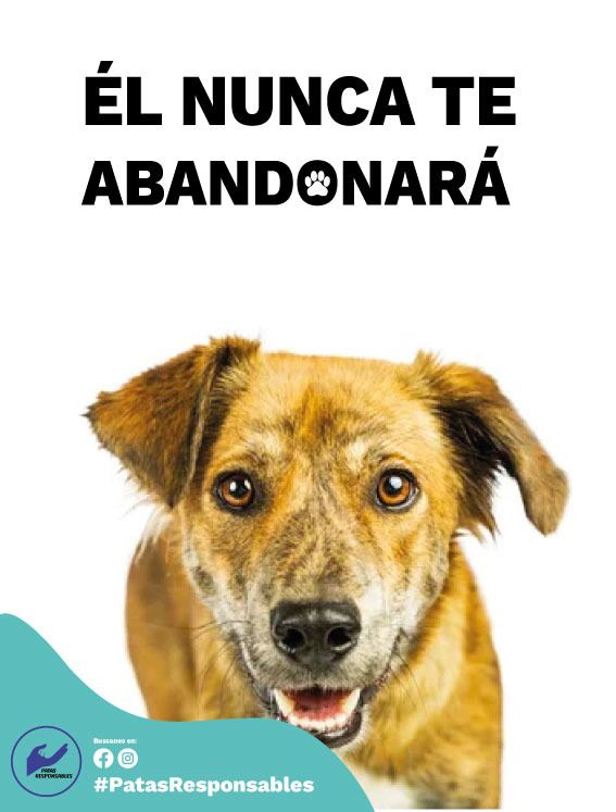 cargando...